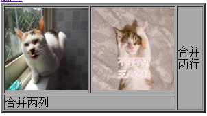 HTML-01