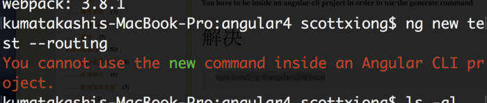 You cannot use the new command inside an Angular CLI project.