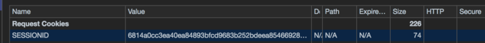 [Angular] Protect The Session Id with https and http only