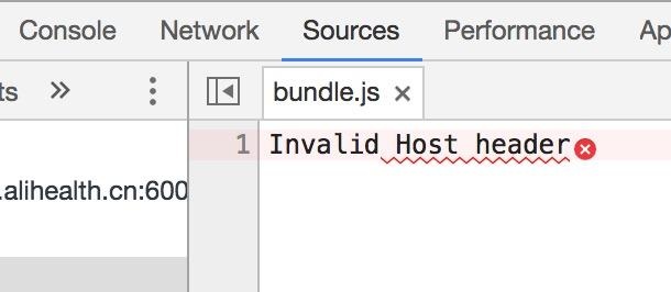 Webpack "Invalid Host Header"
