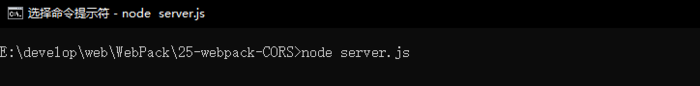 webpack-CORS