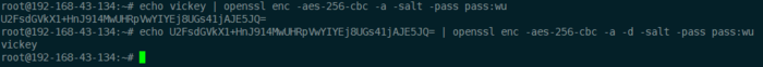 linux ecrypt decrypt