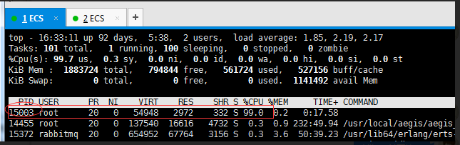 Linux CPU 100%, kill -9 杀不掉进程