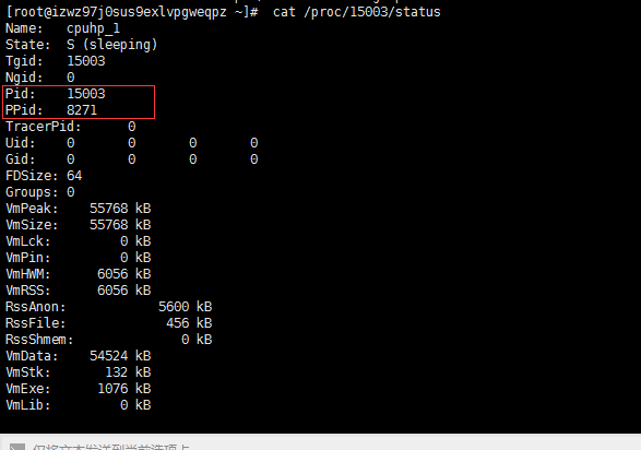 Linux CPU 100%, kill -9 杀不掉进程