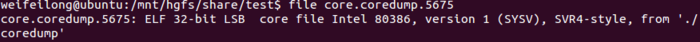 Linux coredump