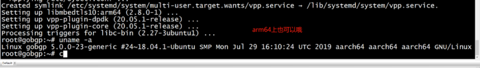 How to Install VPP in ubuntu x86 or arm64 How to Install VPP in ubuntu x86 or arm64