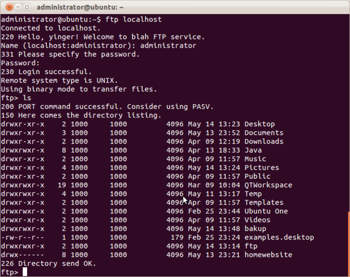 Set up Vsftpd (FTP Server) in Ubuntu 11.10