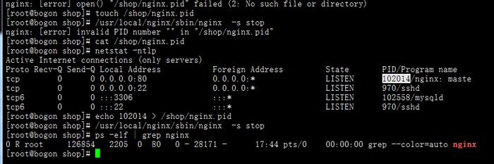 nginx: [error] invalid PID number "" in "/var/run/nginx/nginx.pid"