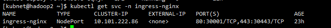 Ingress-Nginx
