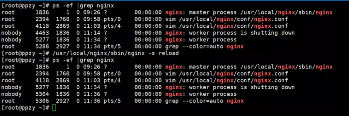 Nginx reload