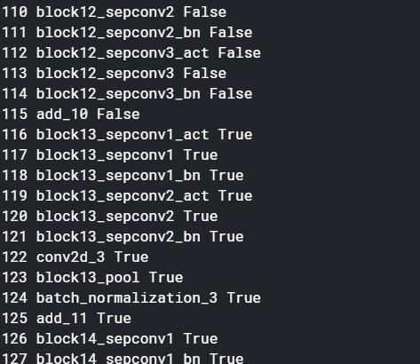 Keras - 加载预训练模型并冻结网络的层