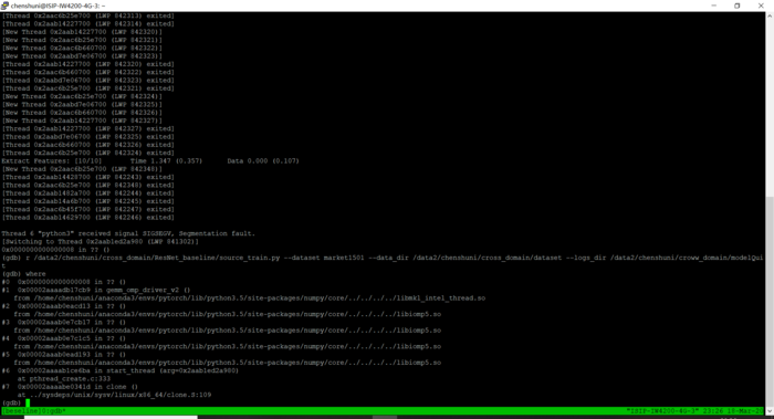 Segmentation fault (core dumped)——pytorch