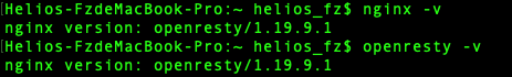 Nginx - Mac电脑安装OpenResty