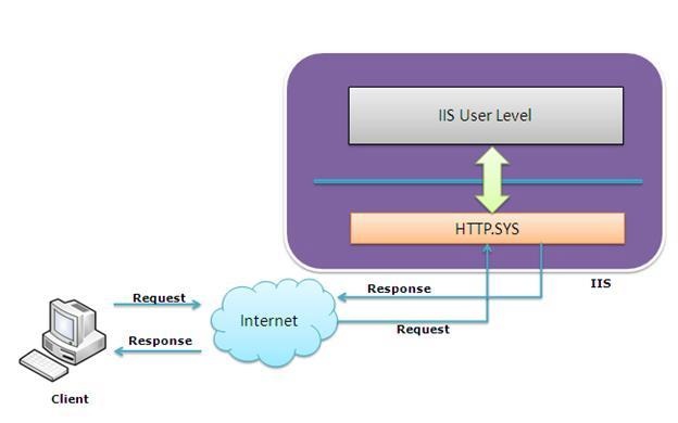 Beginner’s Guide: How IIS Process ASP.NET Request