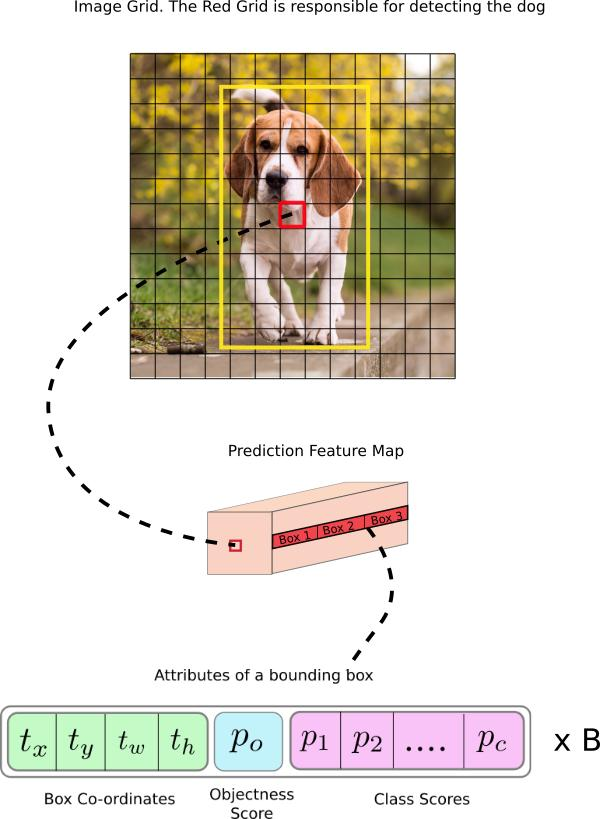 How to implement a YOLO (v3) object detector from scratch in PyTorch: Part 1