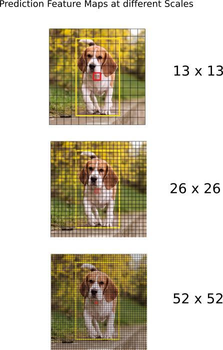 How to implement a YOLO (v3) object detector from scratch in PyTorch: Part 1