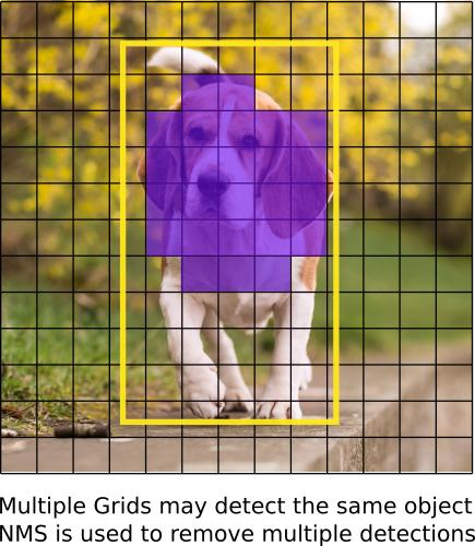 How to implement a YOLO (v3) object detector from scratch in PyTorch: Part 1
