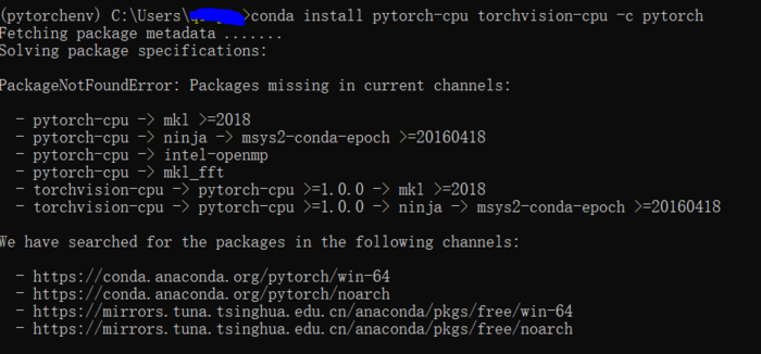 Pytorch + Win10
