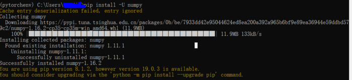 Pytorch + Win10