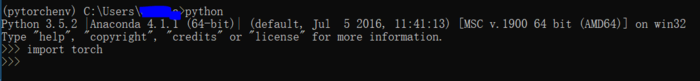 Pytorch + Win10