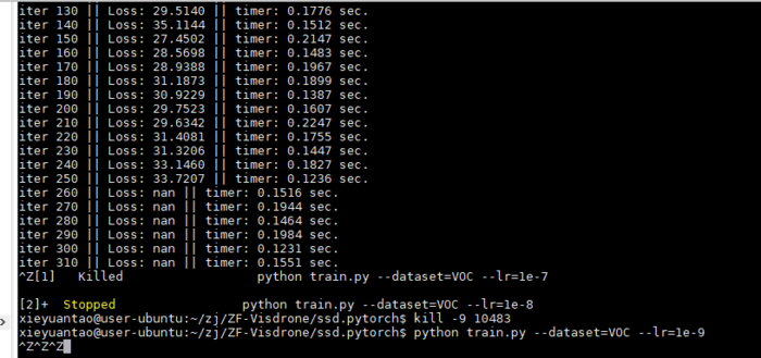 ssd+pytorch1.2+visdrone