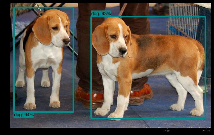 Tensorflow\models\research\object_detection\demo